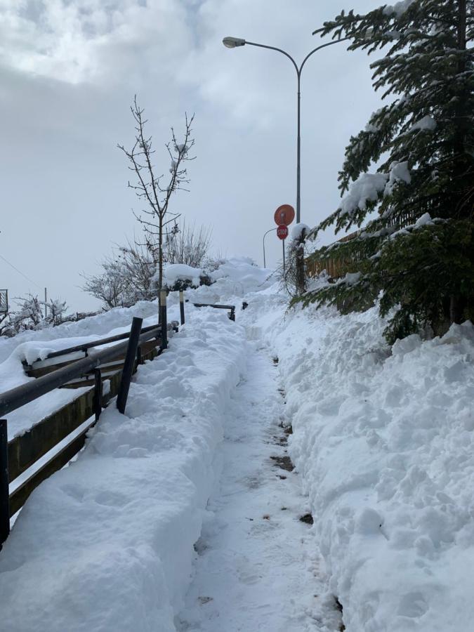 Mansarda La Soffitta Aparthotel Domegge di Cadore Buitenkant foto
