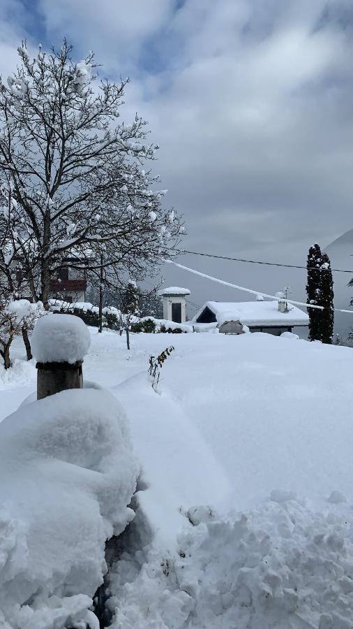 Mansarda La Soffitta Aparthotel Domegge di Cadore Buitenkant foto